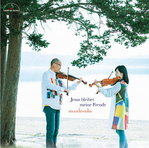 伊大人香蕉在线观看
